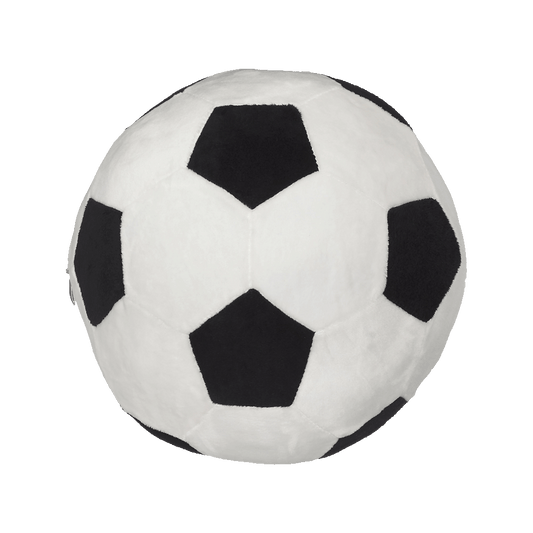 EB Soccer Ball Buddy